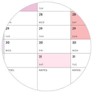 2024 - 2025 ACADEMIC WALL CALENDAR (AUGUST START) | SCHOOL CALENDAR | VERTICAL WITH RAINBOW WEEKENDS